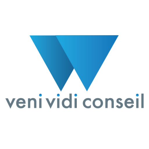 Veni Vidi Conseil – Conseil stratégique et accompagnement en marketing et communication