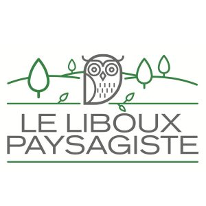 VeniVidi-Conseil-Logo-LeLiboux